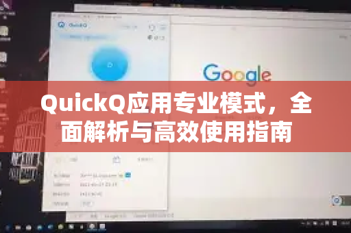 QuickQ应用专业模式，全面解析与高效使用指南-第1张图片-Quickq官网|Quickq VPN下载-高速稳定安全的加速服务