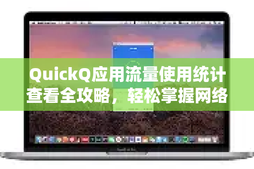 QuickQ应用流量使用统计查看全攻略，轻松掌握网络消耗