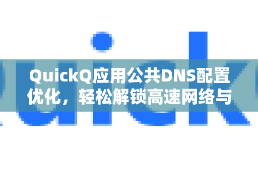 QuickQ应用公共DNS配置优化，轻松解锁高速网络与隐私保护