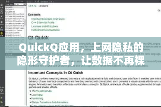 QuickQ应用，上网隐私的隐形守护者，让数据不再裸奔