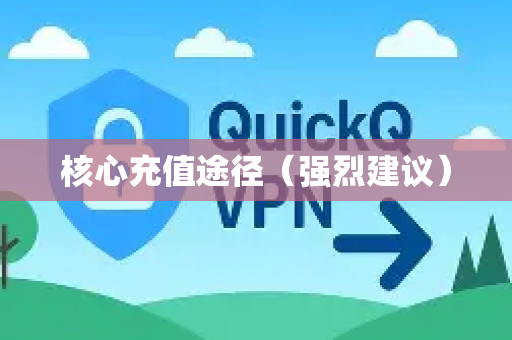 核心充值途径（强烈建议）-第1张图片-Quickq官网|Quickq VPN下载-高速稳定安全的加速服务